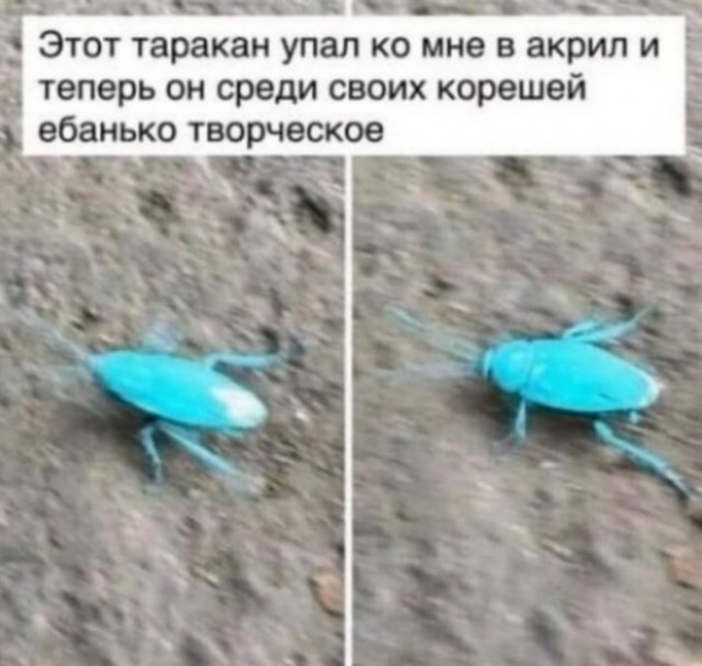 Так себе картинки 25.03.25