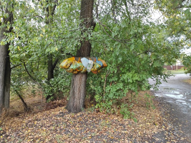 Пакет из Пятерки под мусор — к бедности. Современные, странные приметы, которые нам навязывают...