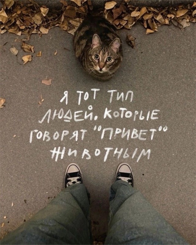 Так себе картинки 28.06.25