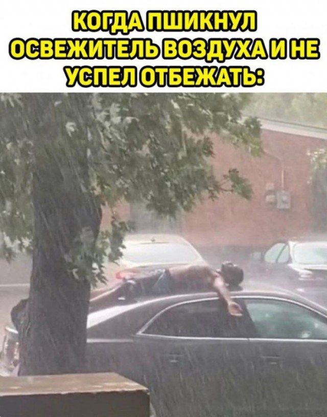 Картинки для деградации 28 (разной степени свежести)
