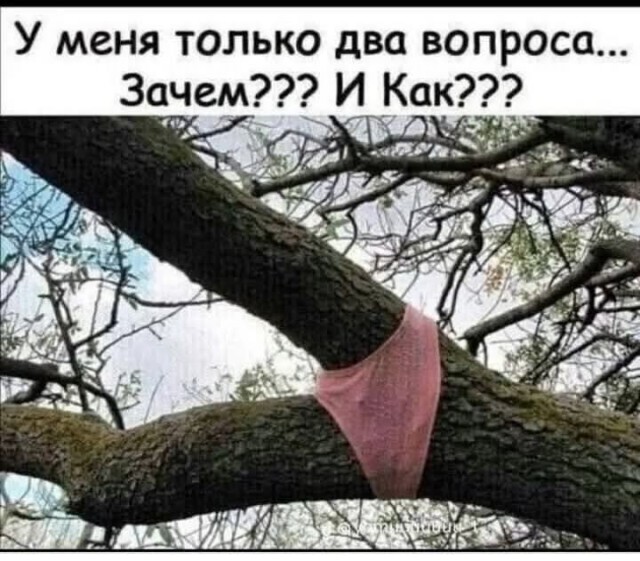 Маленькая пятница 10.09