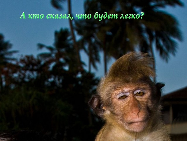 Сундук деграданта! Выпуск номер 9
