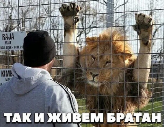 Так себе картинки 31.12.25