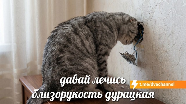 Учёные-токологоведологи нашли способ исправлять зрение без лазера — с помощью слабого тока