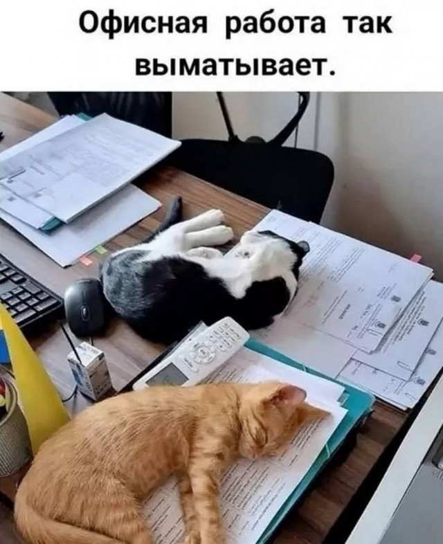 Картиночки, баянчики 09 апреля