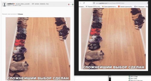 Пятничные картинки