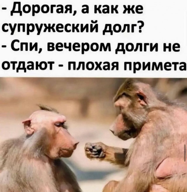 Картинки для деградации 184 (разной степени свежести)