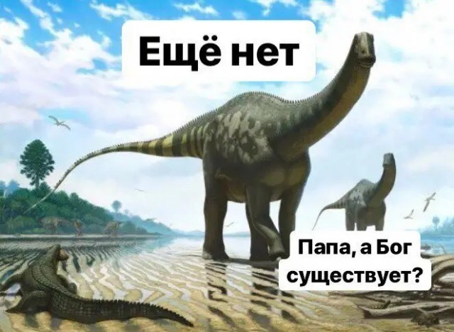 Илон Маск о Боге и возмущение верующих в комментариях