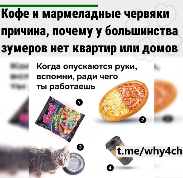 Кофе и мармеладные червяки — причина, почему у большинства зумеров нет квартир или домов