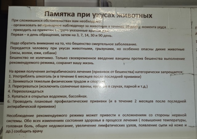 Бродячая собака внесла разнообразие в унылый вечер индийской пасторали