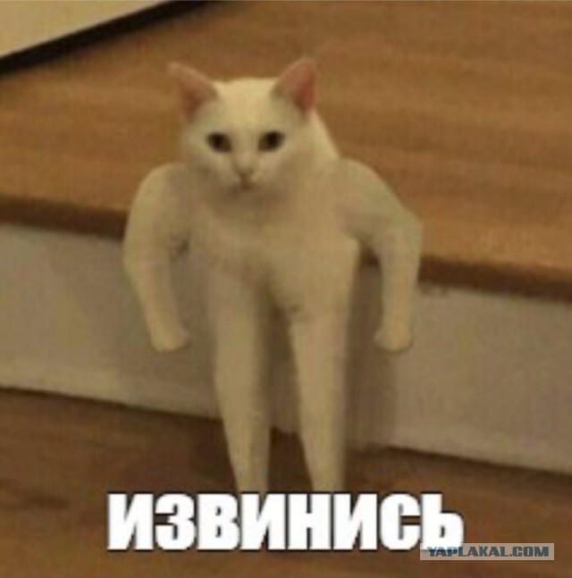 Не стоит ездить быстрее, чем умеешь.