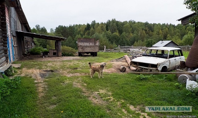 Экстримальная поездка за грибами.