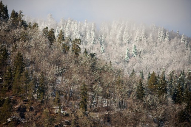 Абхазия, январь 2010