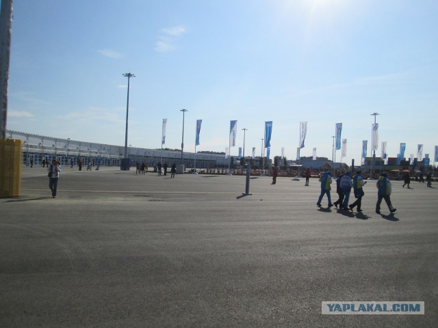 Как я ездил на кёрлинг