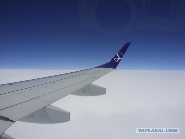 27 причин взять место у окна