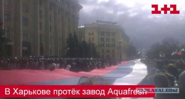 Митинг-концерт "Мы вместе"