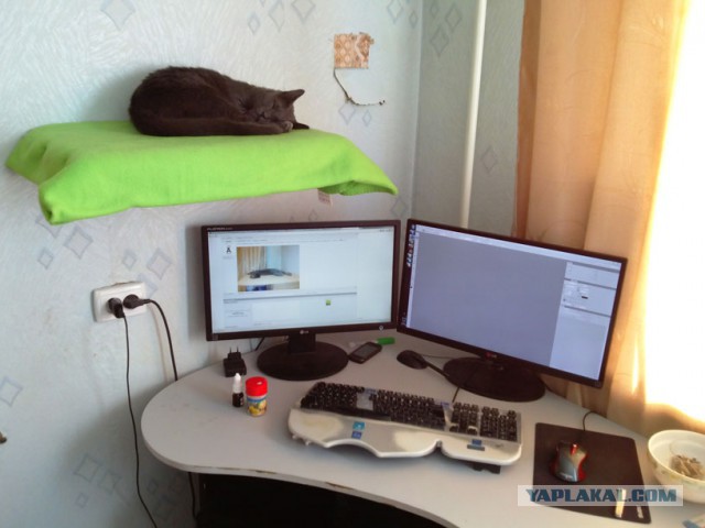 Домик для кота