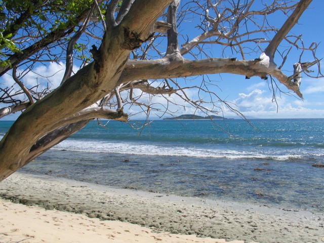 Как я съездил на Сейшелы