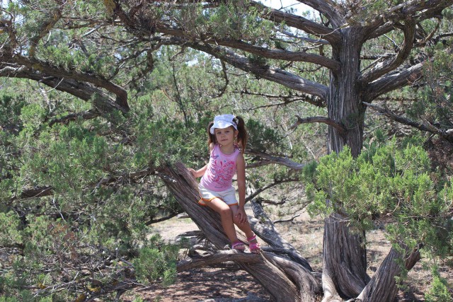 Отчёт о поездке в Крым 12.07 - 29.07