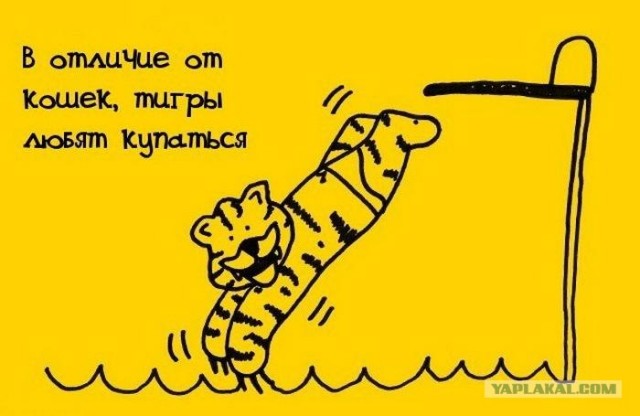 Занимательные факты в картинках
