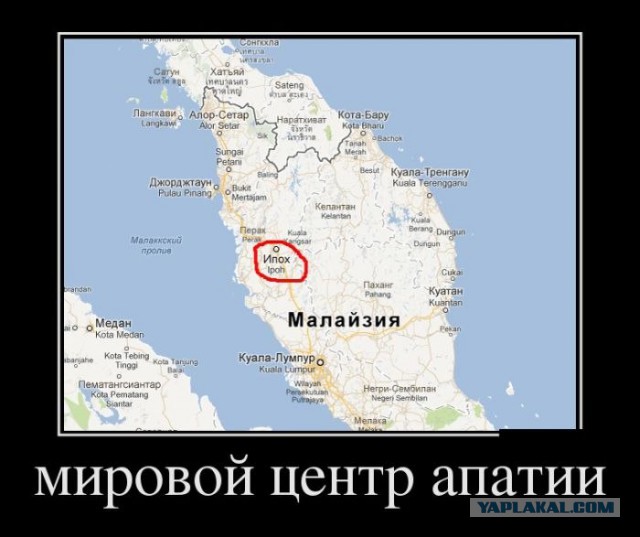 Весёлые картинки