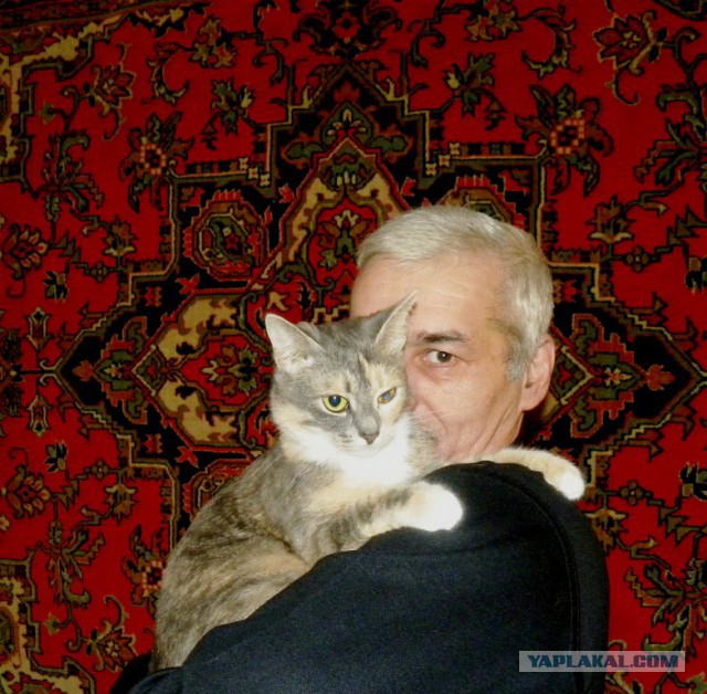 Сторожевой кот
