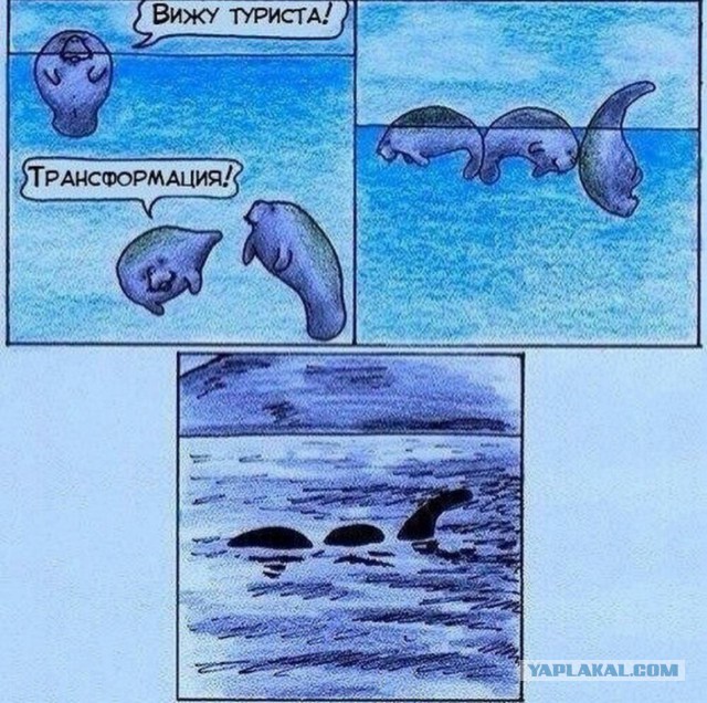 Очередная порция картинок из сети