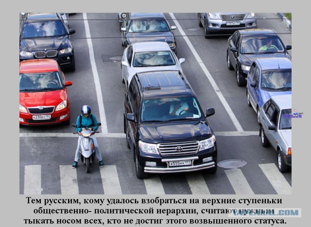 Интересные факты о разном