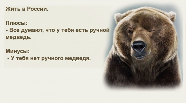 Туристы в Заполярье прогнали медведя исполнив