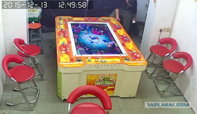 За что я люблю китайцев