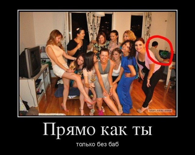 Забавные картинки из Сети