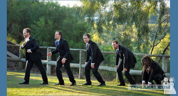 Подборка разных картинок