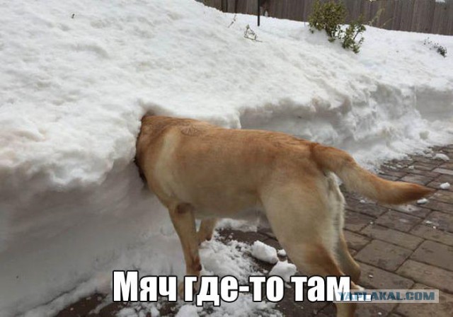 Фотоприколы