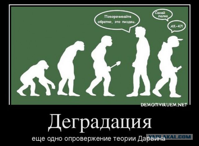 25 ситуаций, когда жалеешь, что родился не животным