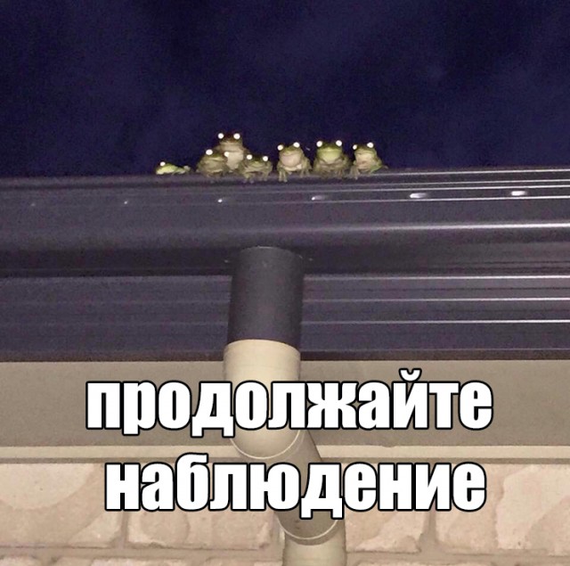 Нашел киноляп в "Кавказской пленнице", ранее никем не отмеченный