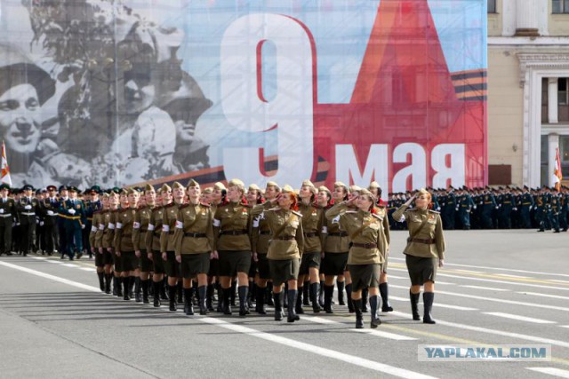 Главным оружием на параде 9 Мая стала путинская «армия в мини-юбках».