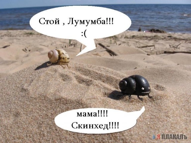 Все на ЙУГ