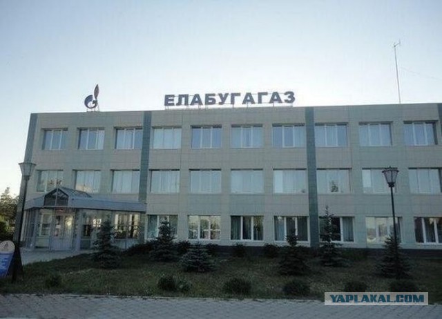 Упоротая пятиминутка