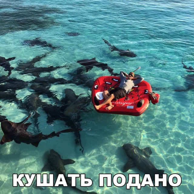 Смешные картинки