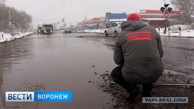 Путин заявил, что Россия не будет «безвольно смотреть» на продвижение НАТО к её границам