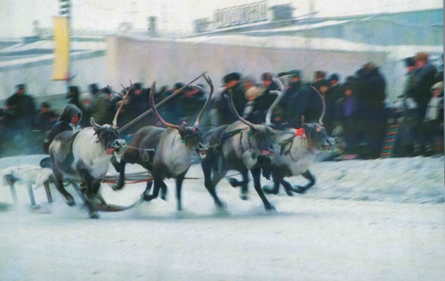Воркута-2000