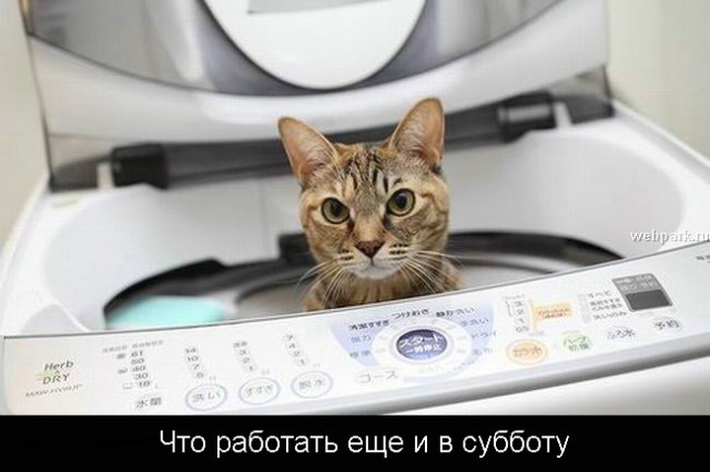 Суббота - рабский день!