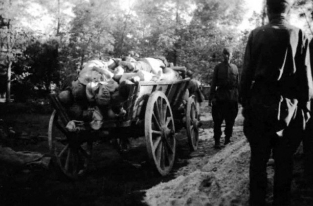 День Национального траура в Германии. Школьник из ЯНАО рассказал в бундестаге о «невинных солдатах вермахта»