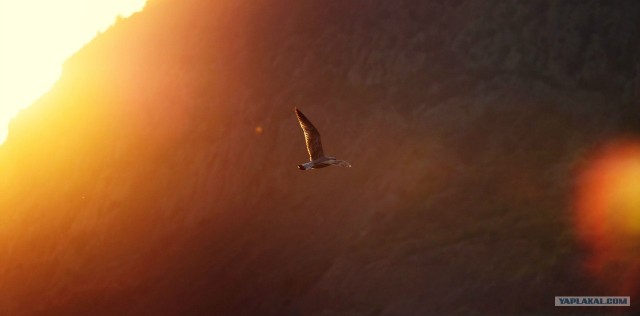 Как я провел лето