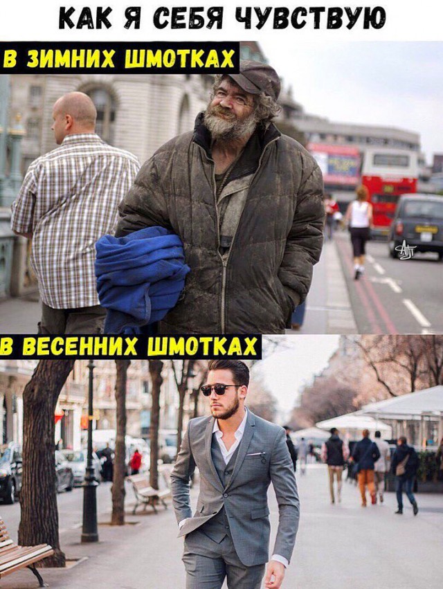 Прикольные картинки обо всём