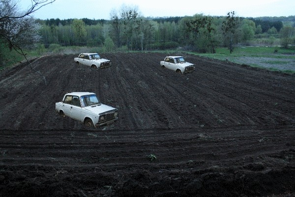 Клумба.