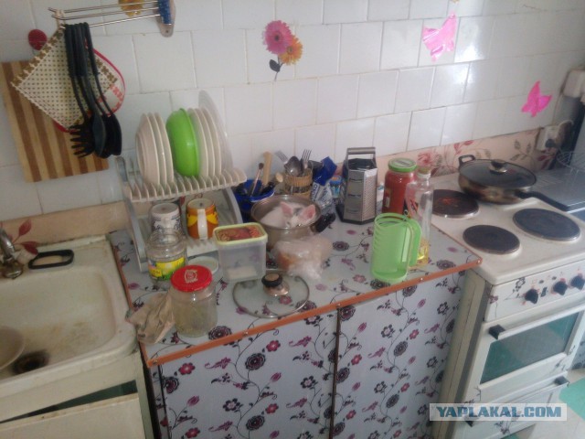 Предлагаю открыть котовторник 15.05 2018
