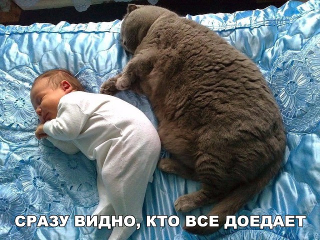 Подборка прикольных фоток