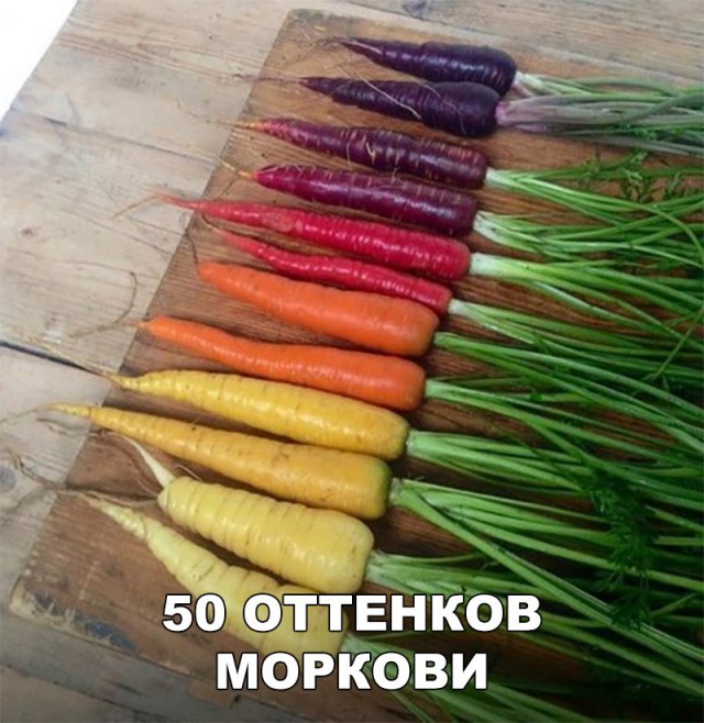 Нестандартный юмор