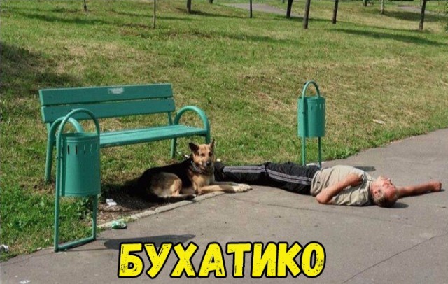 Не очень адекватный юмор
